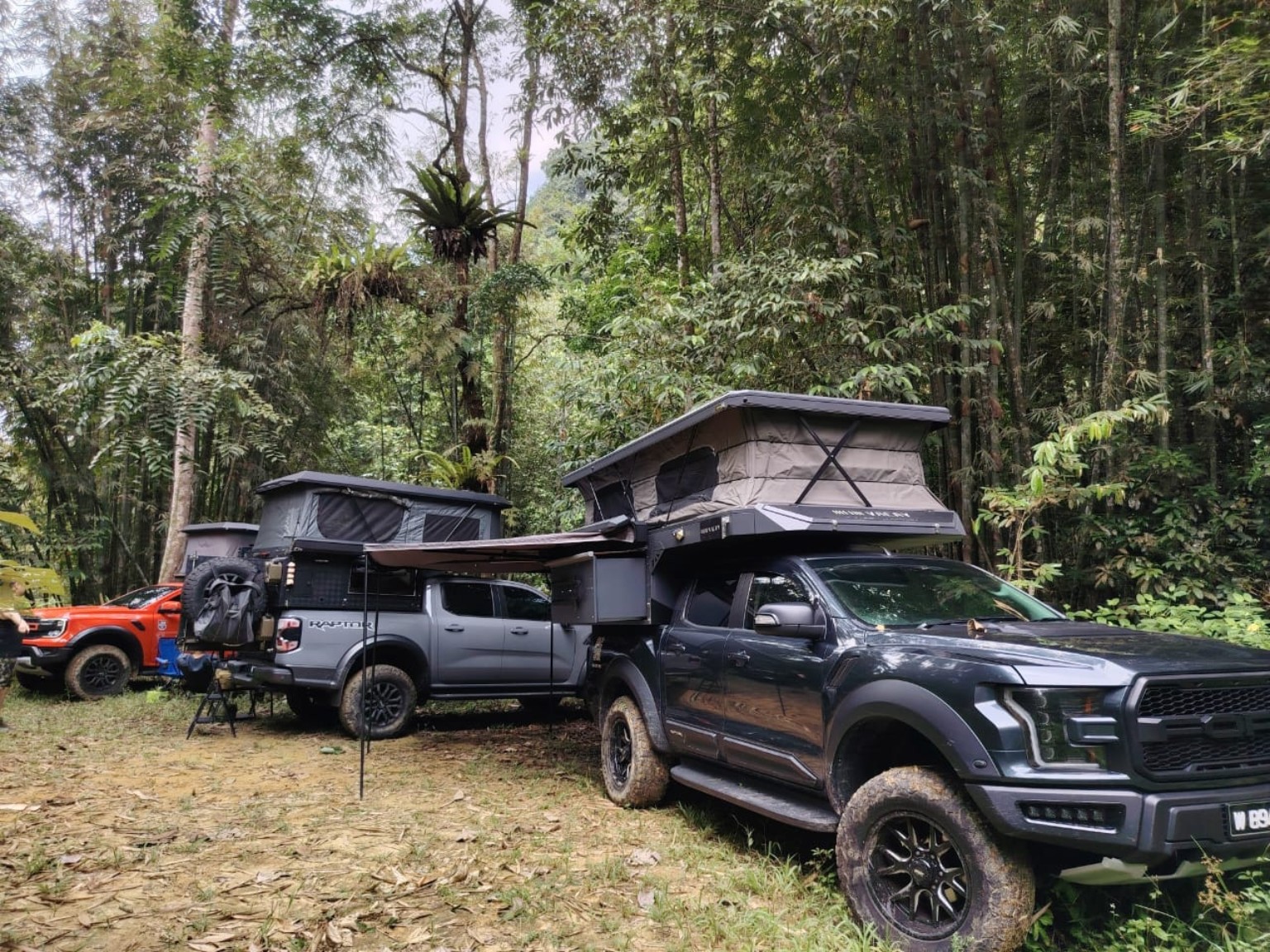 Truck camper convoy in the forest